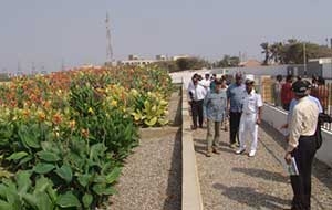 Man in navy uniform walking path next to flowers