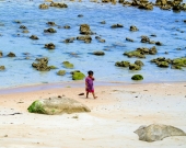 Koh Samui one of the largest island in the south of Thailand. The Island attrack hi end tourists from all around the world. Raising cost of living the local are struckle to make ends meet.