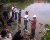 Replanting of Mangrove in LGF Activity