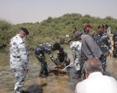 Pakistan Navy plants first mangrove sapling for the Pakistan Navy Mangrove Plantation Campaign