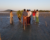 Mr U Win Maung and his team visit the coastal protection zone 