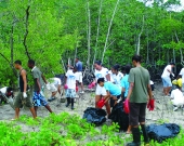 S4S and community group clean and restore the RAMSAR mangrove site with hotel staff 