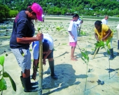  RCEAT hosted mangrove planting in the community 