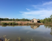 A shrimp farmer's hut stands near a pond in the Mekong Delta along Tra Vinh, Viet Nam. More sustainable shrimp farming is now being promoted to restore mangroves in the province