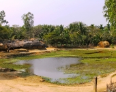 A coastal village in Kendrapara district, Orissa