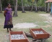 Annet Pathmavathy with dried fish