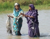 Women in the Sunderbans demonstrating that being involved in aquaculture business - usually dominated by men - is possible. 