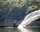 Cast net fishing in Ashtamudi Lake