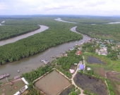 Aerial shot of shrimp ponds in the mangroves