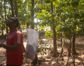 The closest mangrove ecosystem to Malé, capital of the Maldives, is situated in K. Hura. 