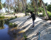 Lagoon Clean-up Maldives