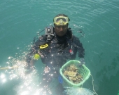 A local fisherman diver prepares to transplant corals in Bai Huong. 