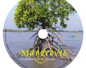 Mangroves: Guardians of the Coast