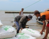 KPAPPD builds semipermeable barriers in Pulau Dua