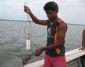 Traditional Mud crab fishing trap