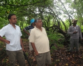 Assessing the diversity of mangroves in Pottuvil, Kudakali, Shastravel and Ulla lagoons. 