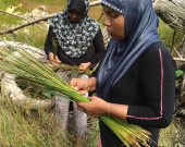 Leena collecting reeds from the nearby marshland.