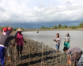 Community planting activities in Pohuwato, Indonesia, Japesda MFF SGF project