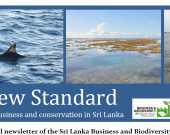 The New Standard newsletter July 2014