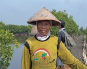 Participation women for coastal rehabilitation and set up alternative income 