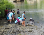 Wildlife club members at Independent school receiving training and planting mangrove seedlings in the wetland site