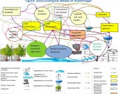 Socio-ecological Model of Shyamnagar