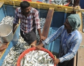 Fishers ponder the day's catch