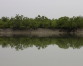 Inside the Indian Sundarban Tiger Reserve at high tide