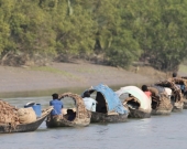 A group of harvesters in the Sundarbans