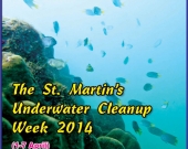 Annual cleaning week in Saint Martin's Island