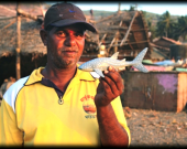 A fisherman holds up a Whale Shark toy in support of the conservation programme