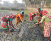 Women define and construct the walls of a new shrimp pond