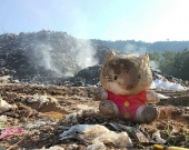 A charred toy sits in front of the 'golden mountain'