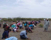 Students and participants plant mangroves near Port Qasim, Pakistan