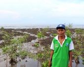 Samsuri and mangrove saplings planted as part of the MFF Small Grant Facility (SGF) project