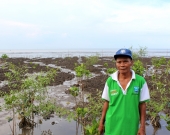 Samsuri and mangrove saplings planted as part of the MFF Small Grant Facility (SGF) project