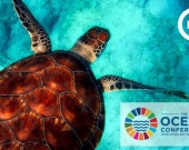 IUCN at the Ocean Conference