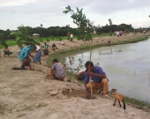 A goat kid investigates a man planting a fruit tree sapling along the bank of the Sabkhali Canal