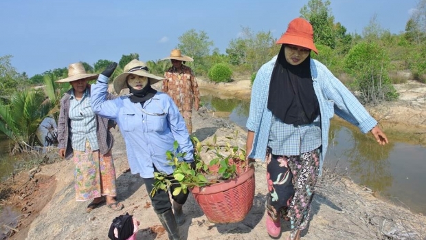 Activity on mangrove conservation.