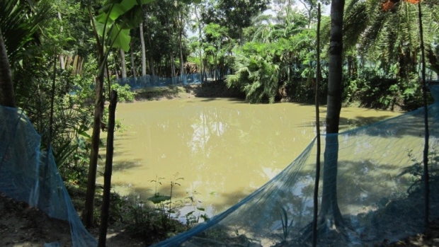 A seasonal pond in Chaltabunia village