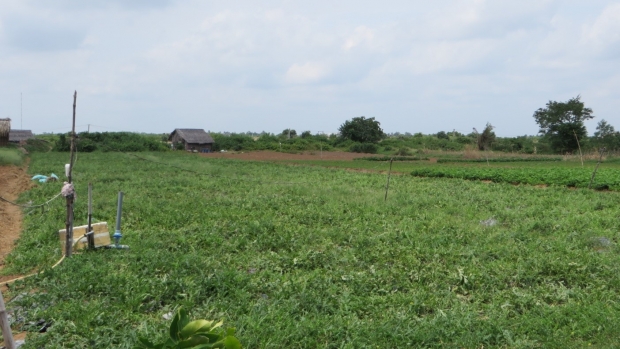 Sand dunes in Thua Duc commune, Binh Dai district, Ben Tre province