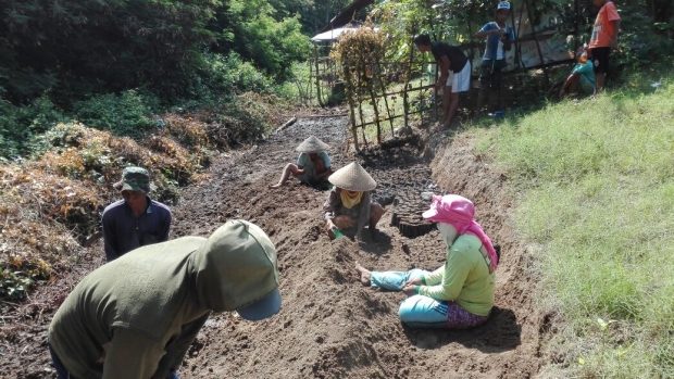 Initiation of project activity: plastic potting by engaging local community group