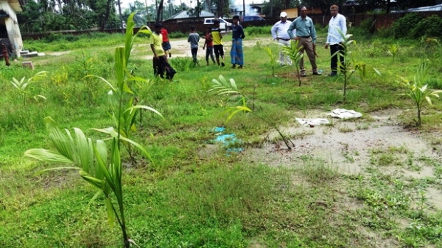 Coastal vegetation improvement for community resilience in Sabrang Union of Teknaf Peninsula