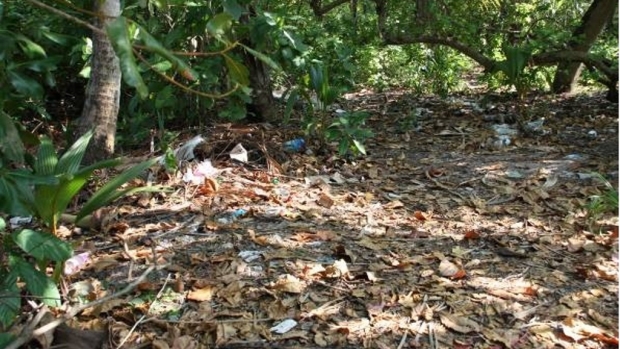  Waste in Vaikaradhoo 