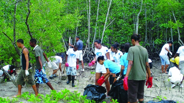 S4S and community group clean and restore the RAMSAR mangrove site with hotel staff 
