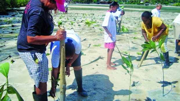  RCEAT hosted mangrove planting in the community 