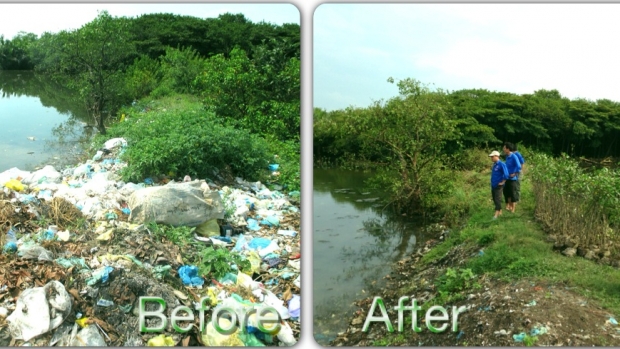 Abandoned shrimp ponds before and after waste collection