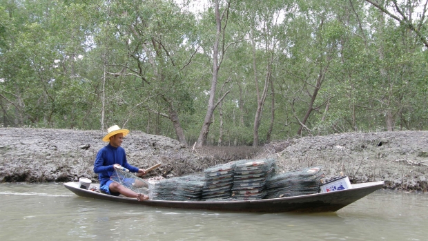 Conserving mangroves in Ao Baan Don 