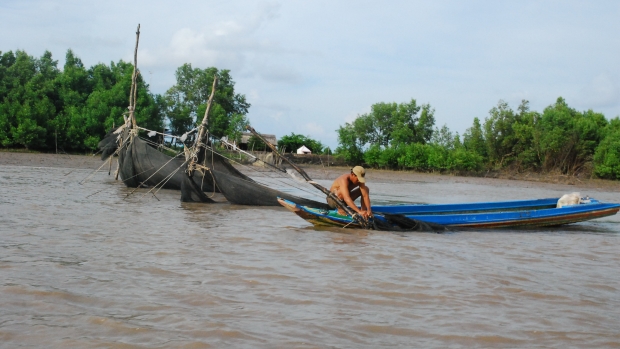 Mountain crab harvesting in Cu Lao Cham