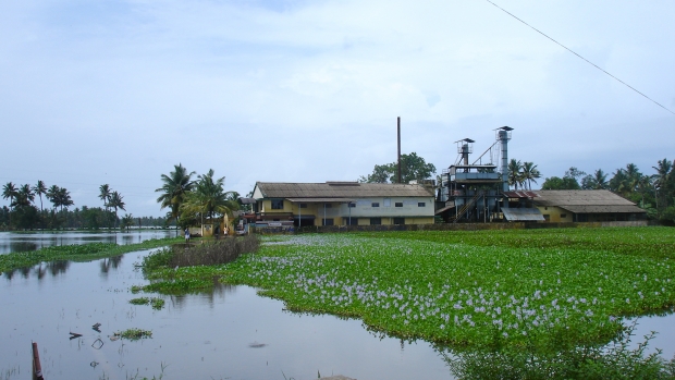 Vembanad-Kol backwaters, Kerala